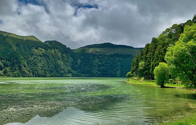 Smartworld Natures Court Modern Residences